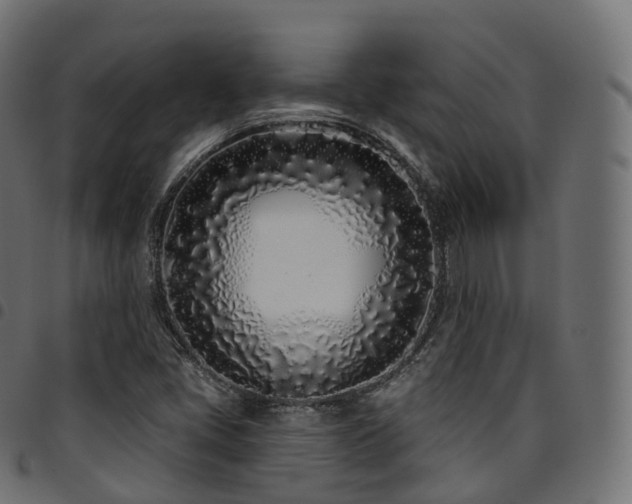 X0000094921405200711291302