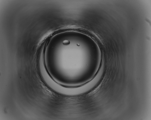 X0000094921406200711291302
