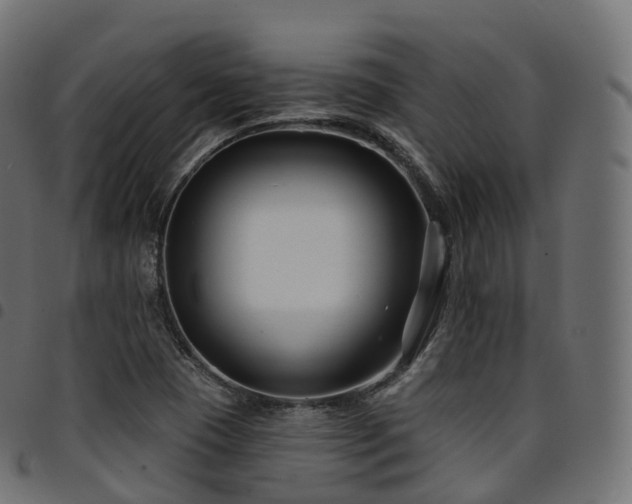 X0000094921409200711291302