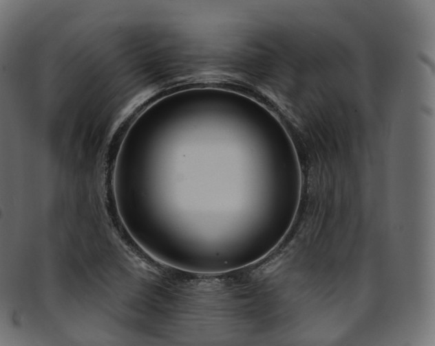 X0000094921410200711291302