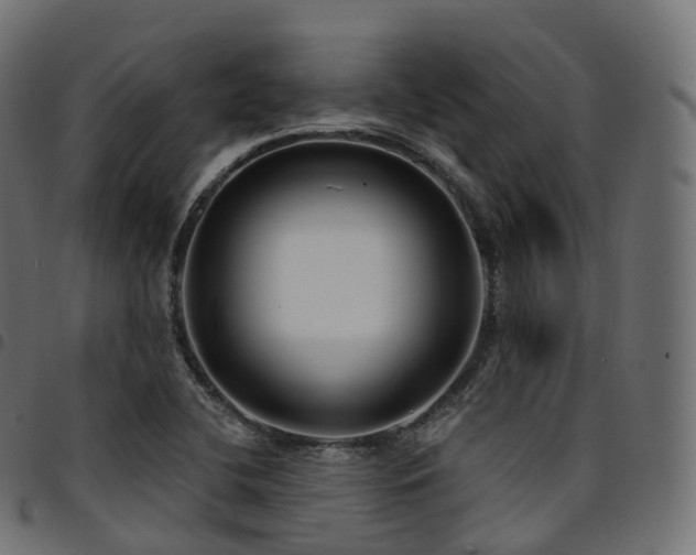 X0000094921412200711291302