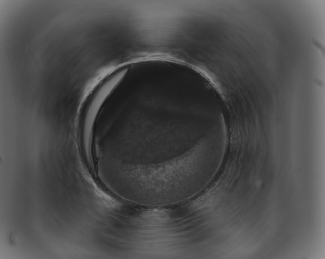 X0000094921414200711291302