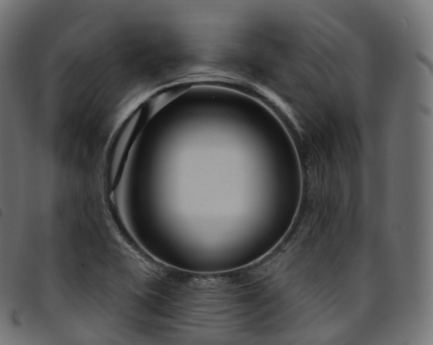X0000094921415200711291302