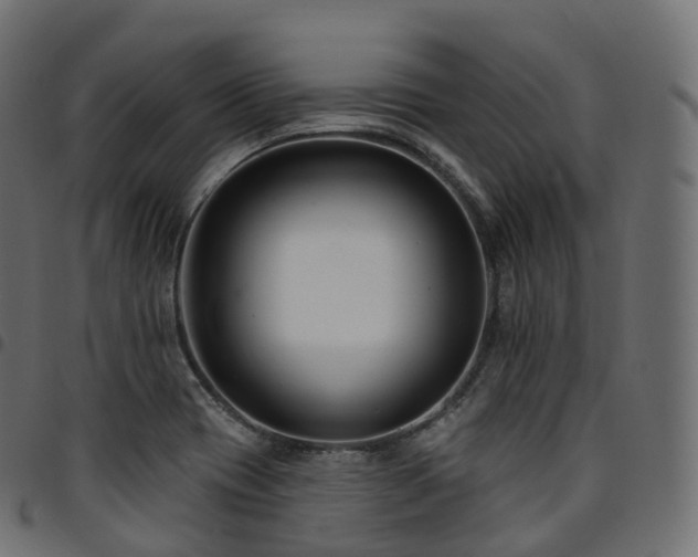 X0000094921417200711291302