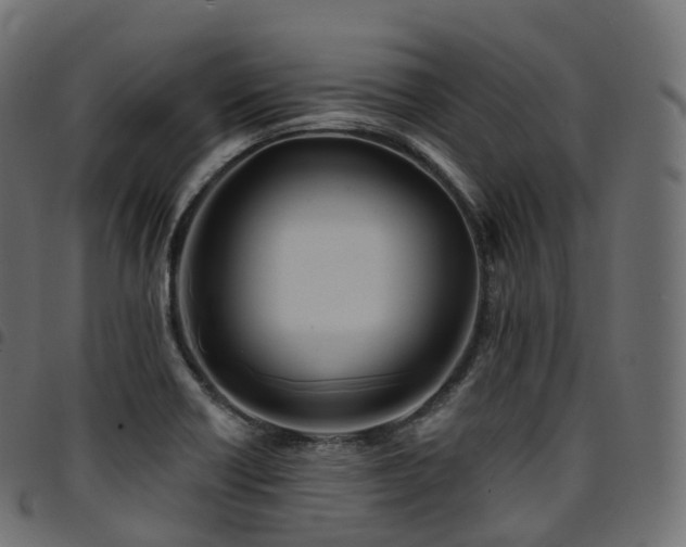 X0000094921418200711291302