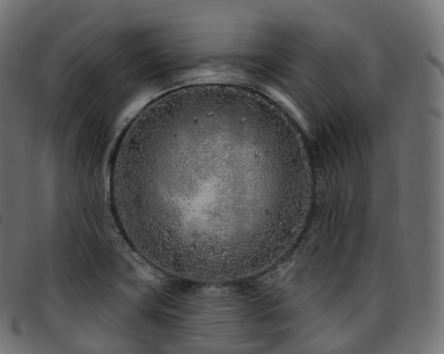 X0000094921419200711291302