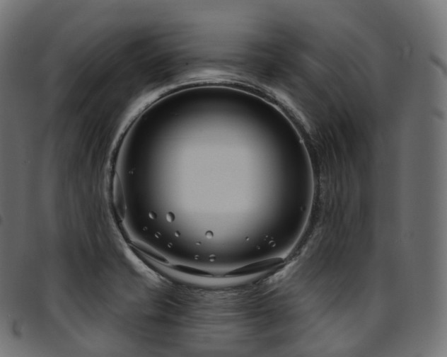 X0000094921421200711291302