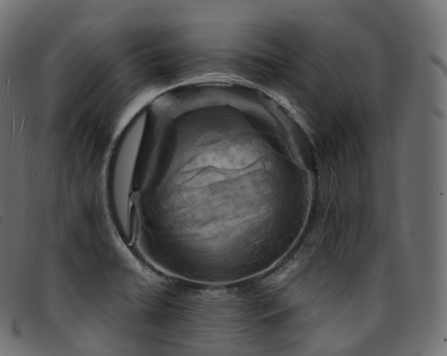 X0000094921422200711291302