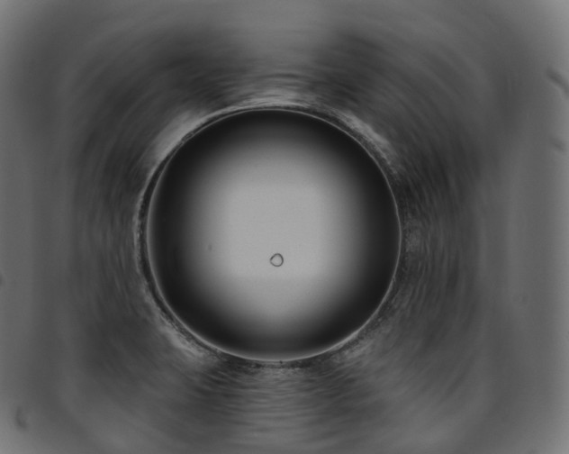 X0000094921423200711291302