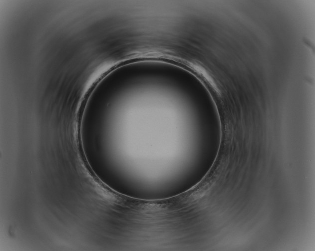 X0000094921424200711291302