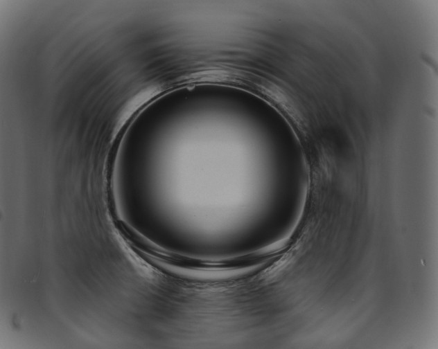 X0000094921426200711291302