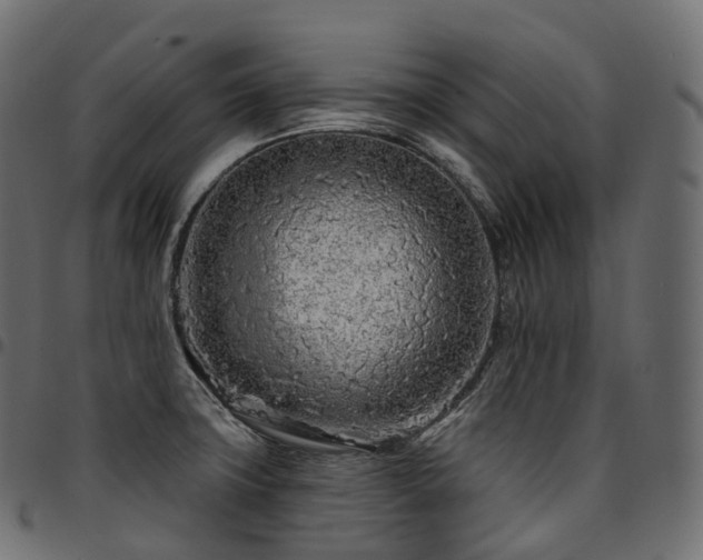 X0000094921427200711291302