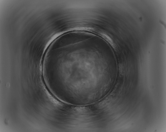 X0000094921428200711291302