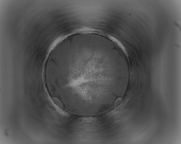 X0000094921429200711291302