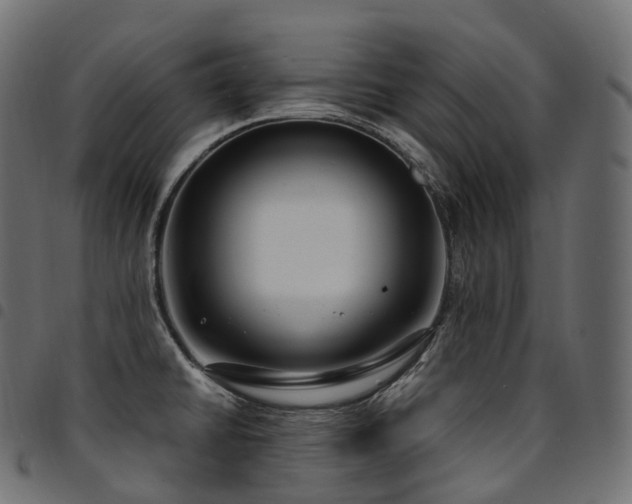 X0000094921430200711291302