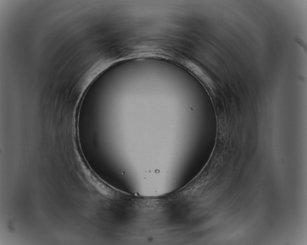 X0000094921431200711291302