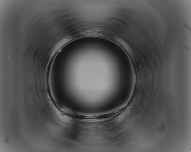X0000094921434200711291302