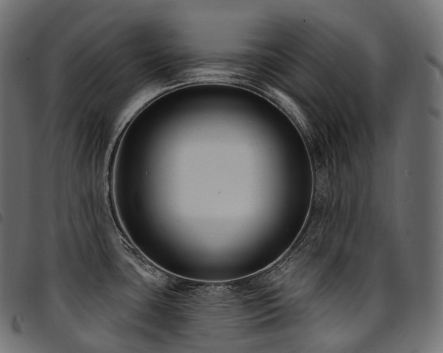 X0000094921435200711291302