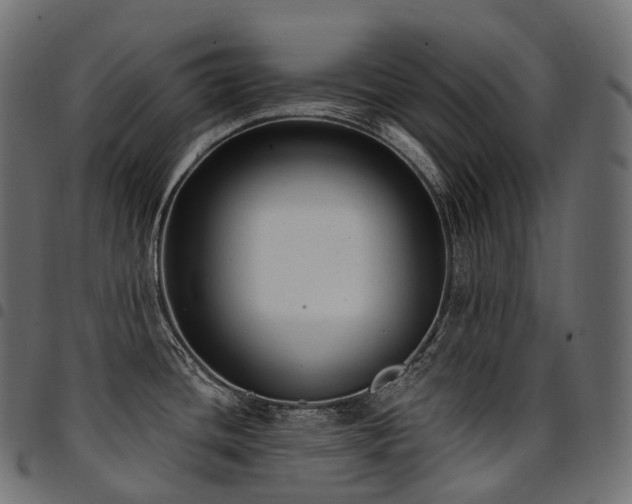 X0000094921436200711291302