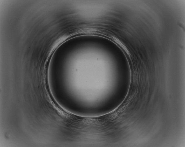 X0000094921437200711291302