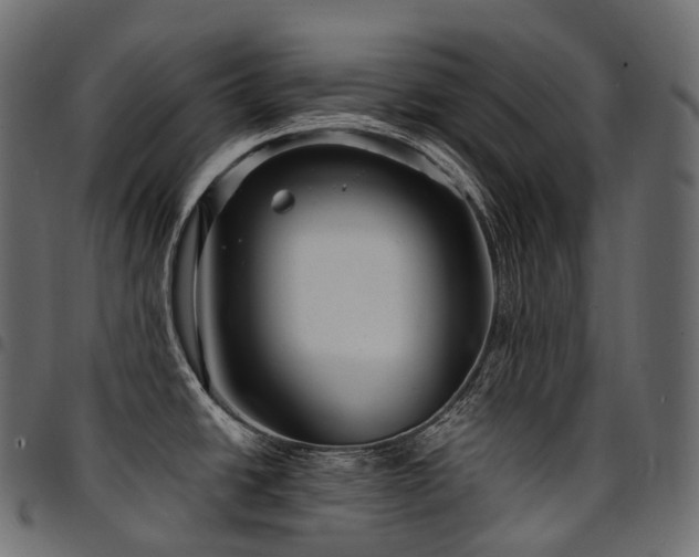 X0000094921438200711291302