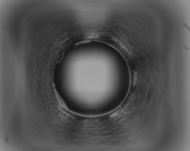 X0000094921441200711291301