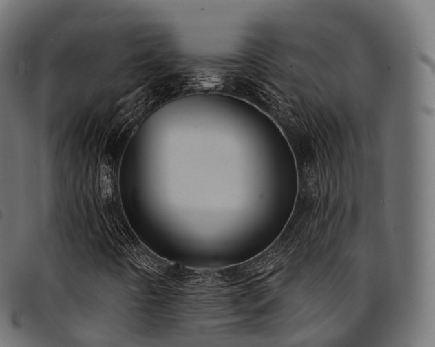 X0000094921442200711291301