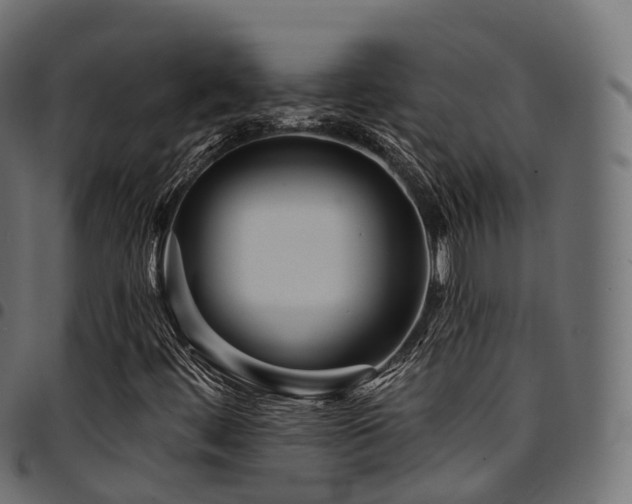 X0000094921444200711291301