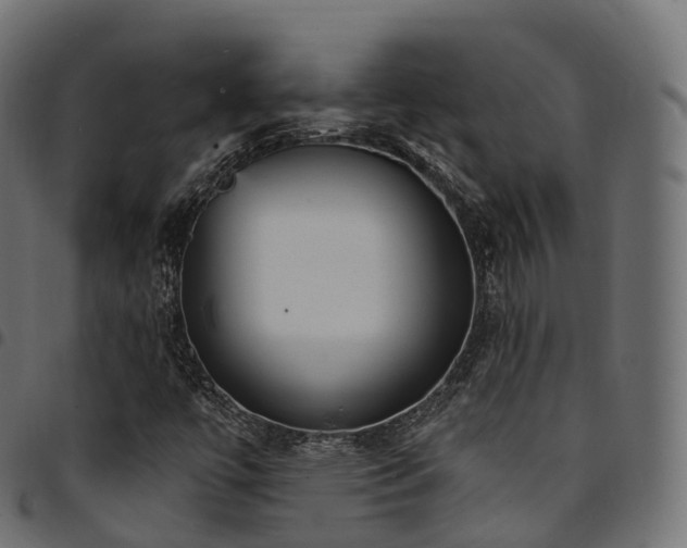 X0000094921447200711291301