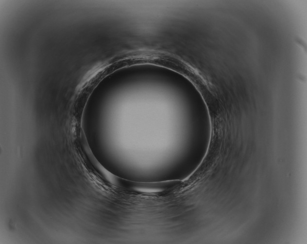 X0000094921448200711291301