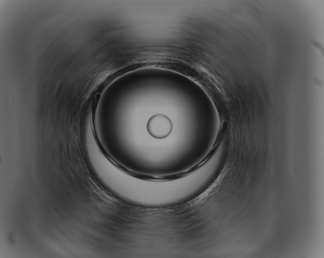X0000094921449200711291301