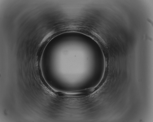 X0000094921450200711291301