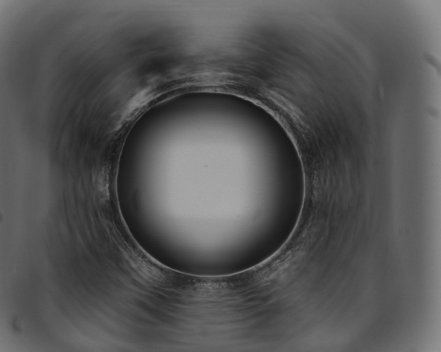 X0000094921451200711291301