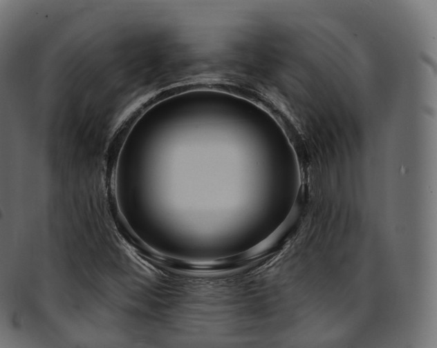 X0000094921452200711291301