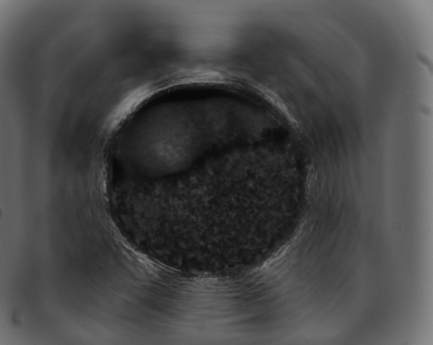X0000094921455200711291301