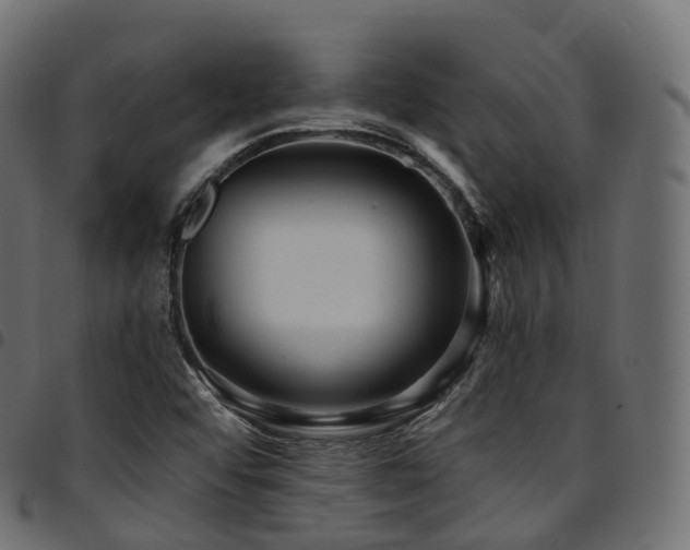X0000094921456200711291301