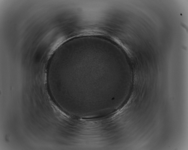 X0000094921459200711291301