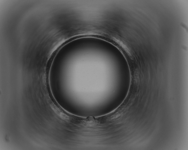 X0000094921460200711291301