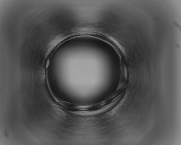 X0000094921461200711291301