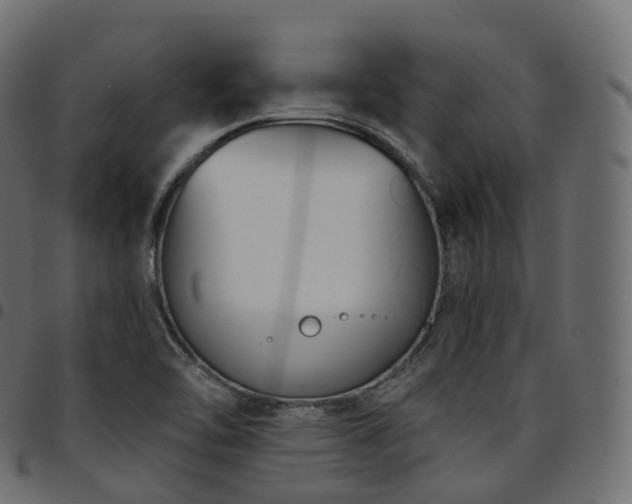 X0000094921462200711291301