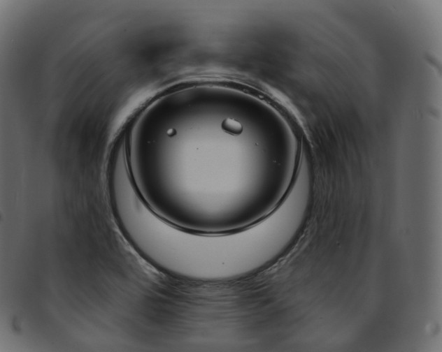 X0000094921464200711291301