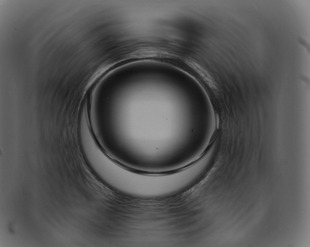 X0000094921465200711291301