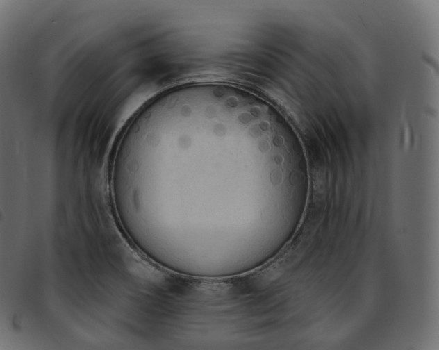 X0000094921466200711291301
