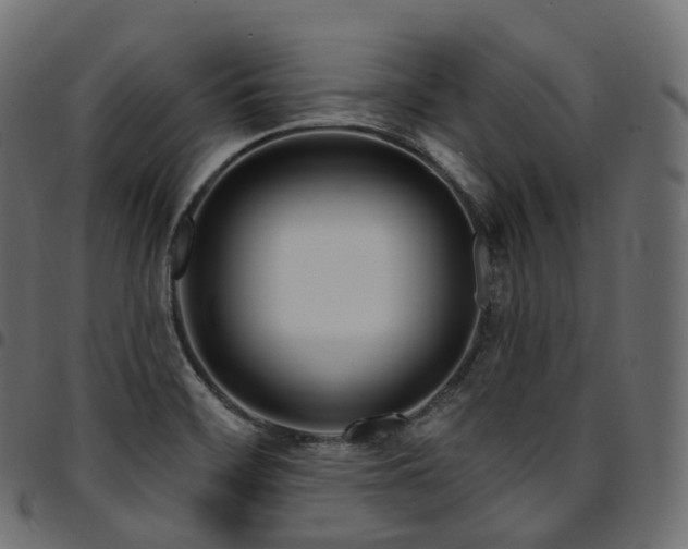 X0000094921468200711291301
