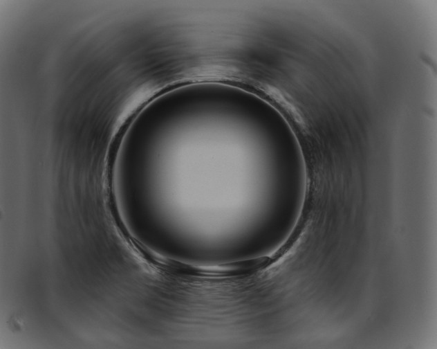 X0000094921469200711291301