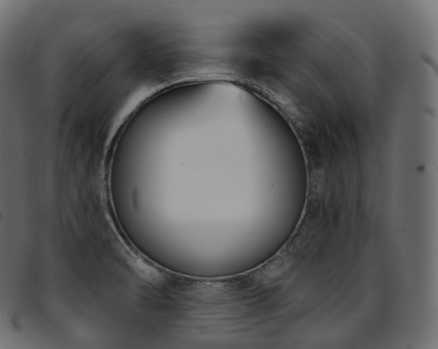X0000094921470200711291301