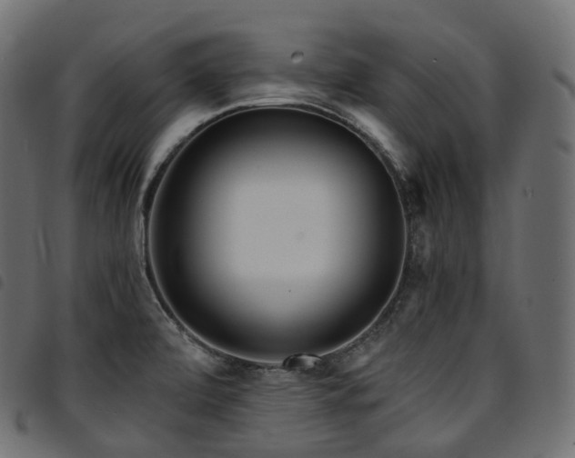 X0000094921472200711291301