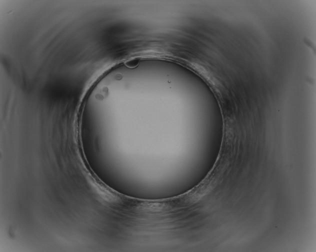 X0000094921474200711291301