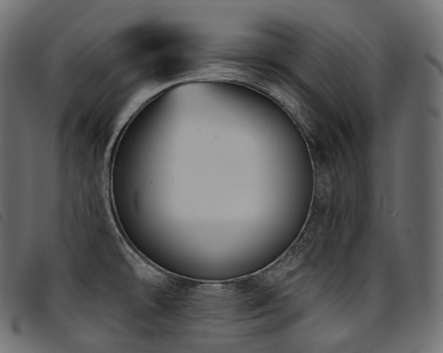 X0000094921478200711291301