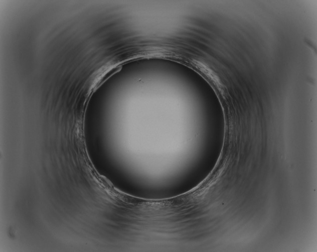 X0000094921481200711291301